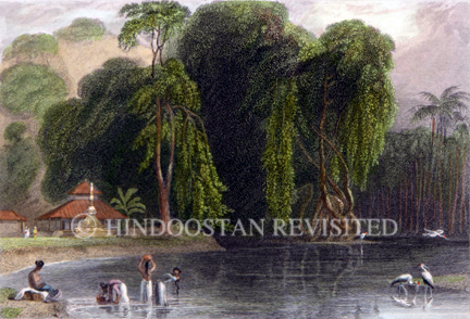 /data/Original Prints/Topography Views, City Views, Landscapes/SCENE NEAR THE COAST OF MALABAR.jpg